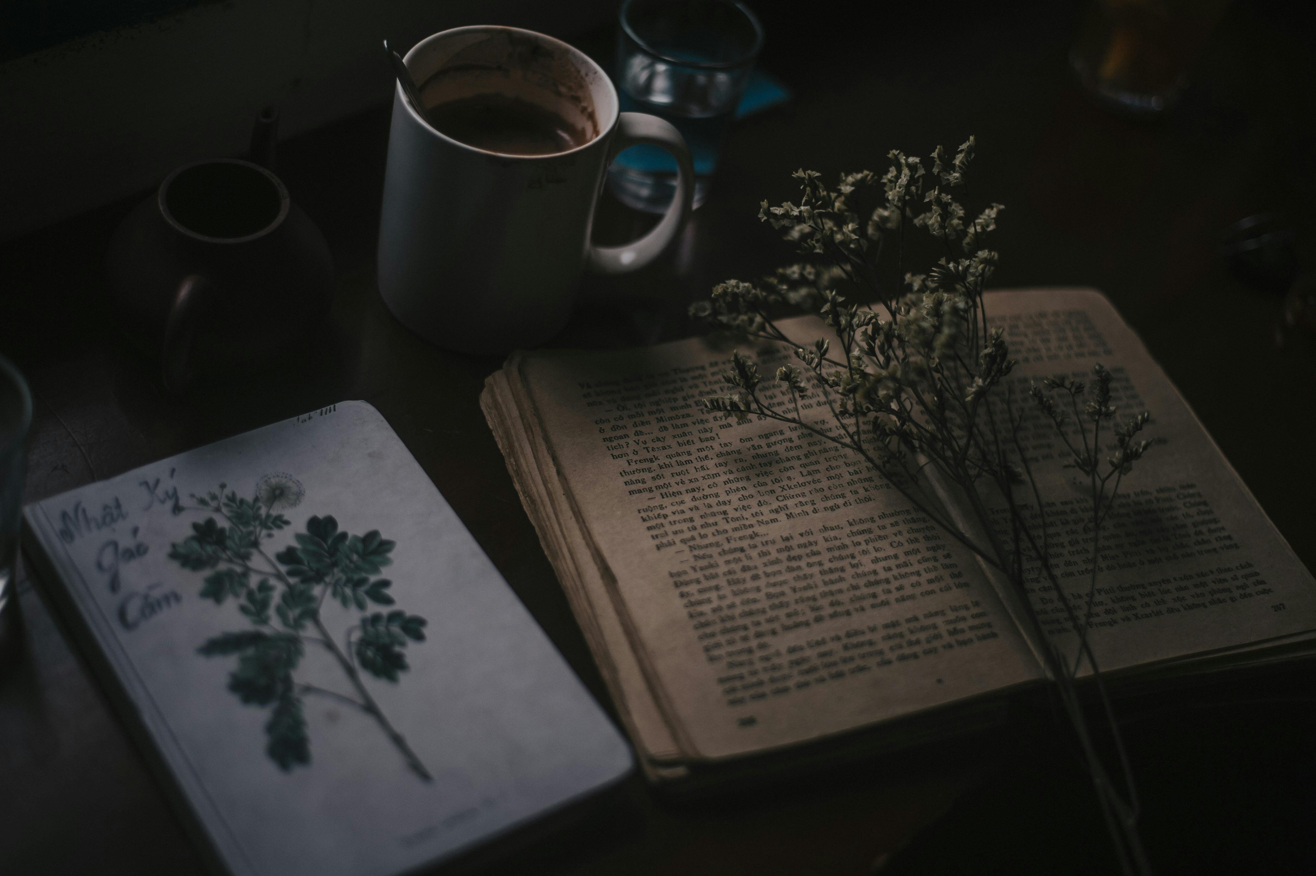 Story Image